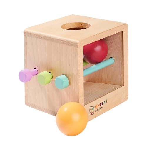 Eichhorn – Montessori – Box mit Kugeln inkl. Sichtfenster mit 3 Stäben und 2 Kugeln, beobachte wie die Kugel durch die Box fällt, für Entdecker, aus 100% FSC zertifiziertem Buchenholz, ab 1 Jahr von Eichhorn