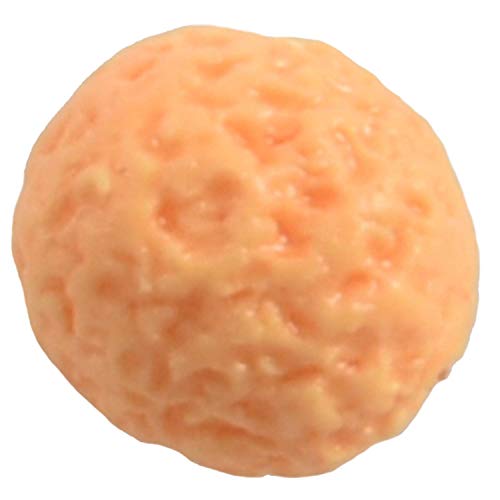 Eighosee 10 Stück Miniaturmodell Simulation Obst Küche Dekor Geschenk 1/12 orange von Eighosee