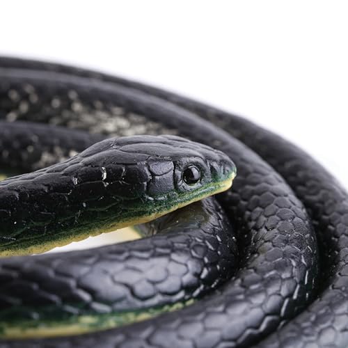 Ejoyous 130 cm Gummischlangenspielzeug Realistisches Streichspielzeug für Halloween -Partys Weiche Flexible Gummi -Material mit 1 X Trick Snake für Lustige Streichgeschenke Ejoyous 130 cm Gummischlangenspielzeug Realistisches Streichspielzeug für Halloween -Partys Weiche Flexible Gummi -Material mit 1 X Trick Snake für Lustige Streichgeschenke von Ejoyous