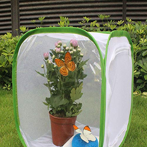 Ejoyous Insektennetzkäfigwanze Lebensraum Terrarium Faltbare Belüftete mit Griff für Einfache Fütterung Geräumiger 60 X 60 X 90 cm Ejoyous Insektennetzkäfigwanze Lebensraum Terrarium Faltbare Belüftete mit Griff für Einfache Fütterung Geräumiger 60 X 60 X 90 cm von Ejoyous