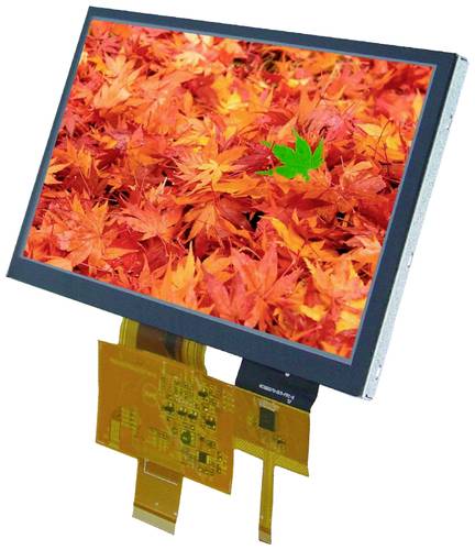 DISPLAY VISIONS LCD-Display (B x H x T) 165 x 100 x 5.8mm von DISPLAY VISIONS