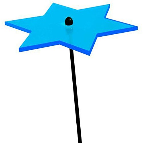 elliot 1019140 Elliot Lichtzauber 1019140 Sonnenfänger Stern klein, 12 cm, blau von Elliot