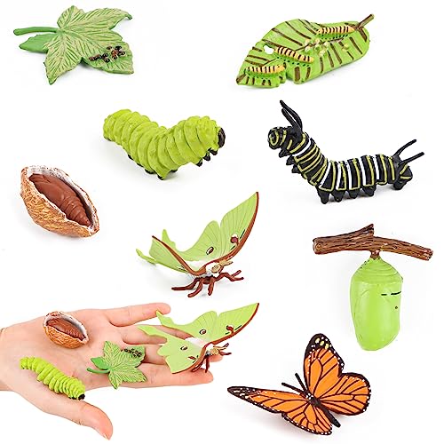 Lebenszyklus Figuren von Insekten, 4 Stück Schmetterling und 4 Stück Motte Lebenszyklus Spielzeugfiguren, Tierlebens Wachstumszyklus Modell Realistische Kunststoff Insektenkäfer Figuren Spielset von Encuryna