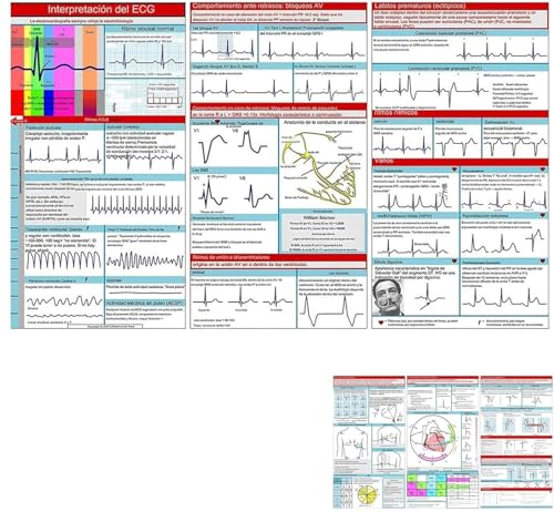 EKG Pocket Guide, EKG Rhythmus Interpretation, doppelseitige kompakte tragbare Referenzkarte, schnelle Interpretation EKG Pocket Nurses Guide, Sanitäter Lernkarten, EKG-Interpretationsbuch (2 Stück) von Endyniner