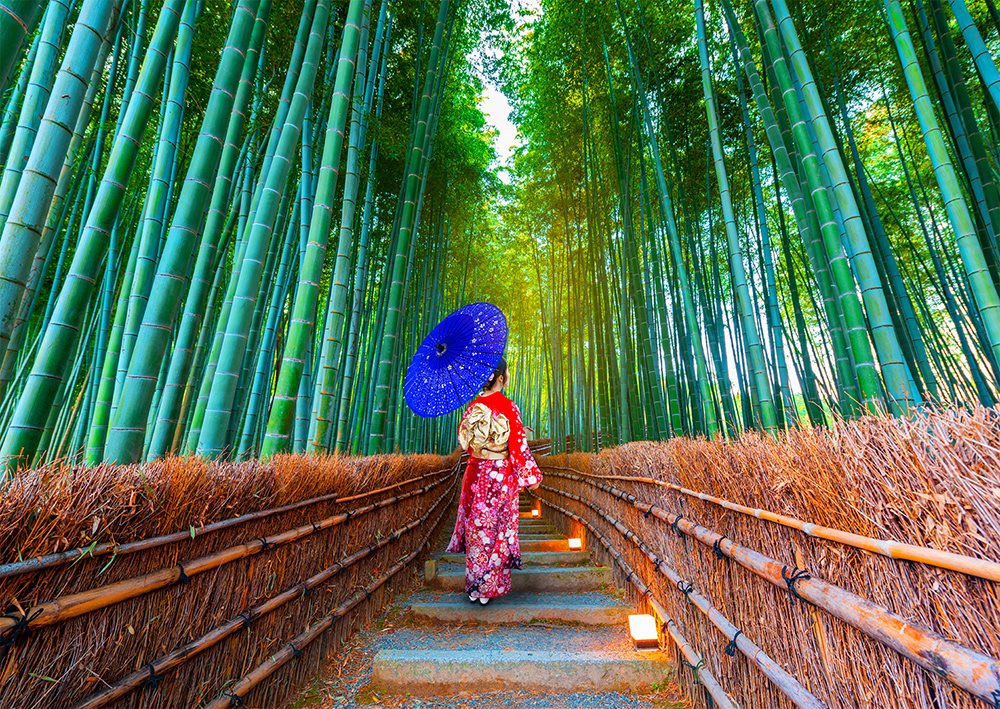 Enjoy Puzzle Asian Woman in Bamboo Forest 1000 Teile Puzzle Enjoy-Puzzle-1293 Enjoy Puzzle Asian Woman in Bamboo Forest 1000 Teile Puzzle Enjoy-Puzzle-1293 von Enjoy Puzzle