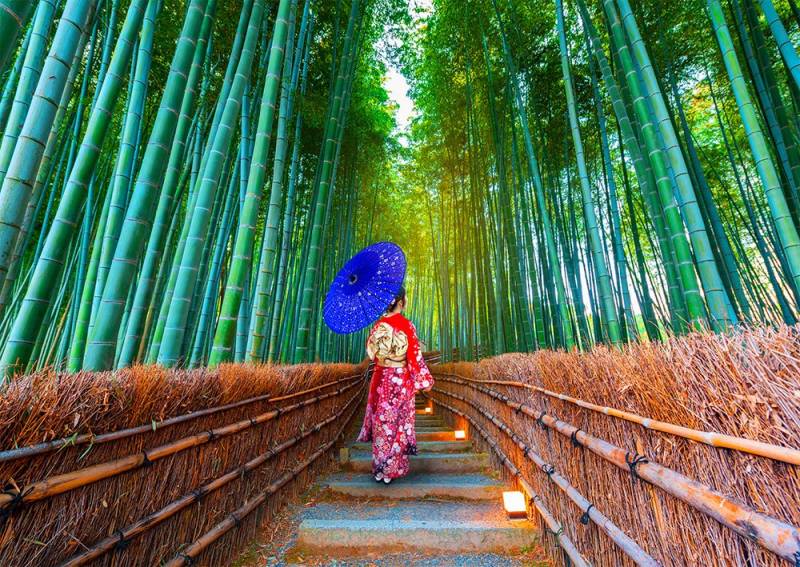 Enjoy Puzzle Asian Woman in Bamboo Forest 1000 Teile Puzzle Enjoy-Puzzle-1293 Enjoy Puzzle Asian Woman in Bamboo Forest 1000 Teile Puzzle Enjoy-Puzzle-1293 von Enjoy Puzzle
