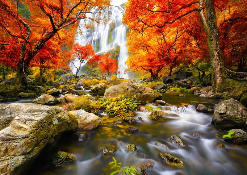 Enjoy Puzzle Autumn Waterfall 1000 Teile Puzzle Enjoy-Puzzle-1245 Enjoy Puzzle Autumn Waterfall 1000 Teile Puzzle Enjoy-Puzzle-1245 von Enjoy Puzzle