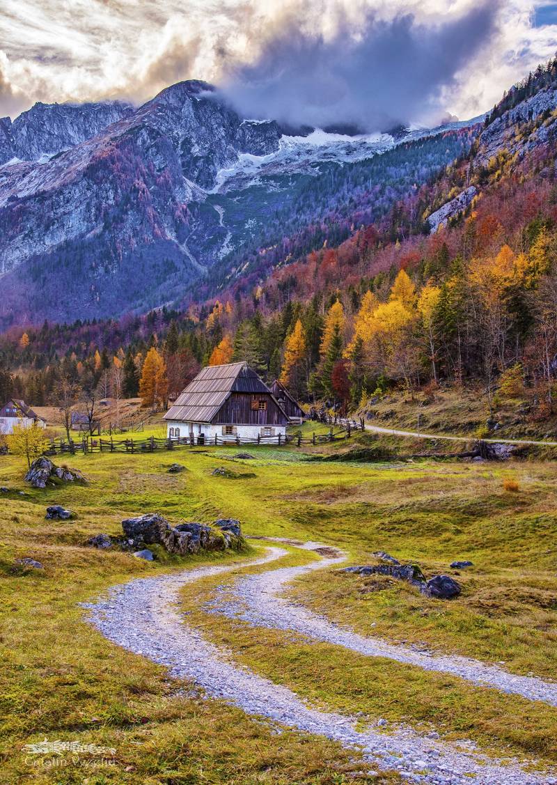 Enjoy Puzzle Cottage in the Mountains 1000 Teile Puzzle Enjoy-Puzzle-1074 von Enjoy Puzzle