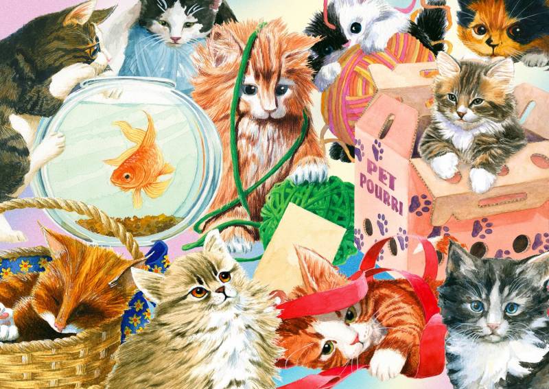 Enjoy Puzzle Curious Cats 1000 Teile Puzzle Enjoy-Puzzle-1898 von Enjoy Puzzle