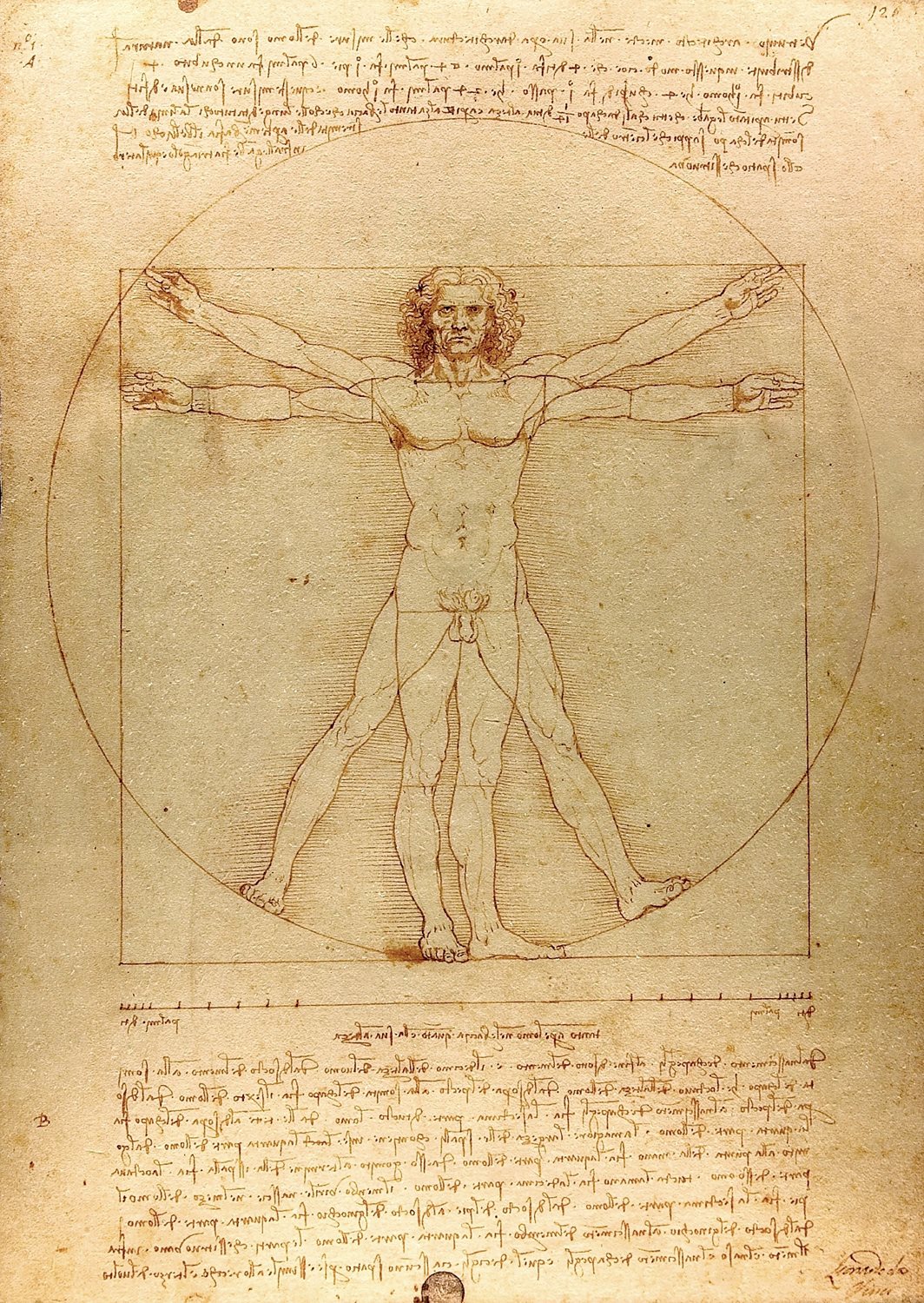 Enjoy Puzzle De Vinci - The Vitruvian Man 1000 Teile Puzzle Enjoy-Puzzle-1557 von Enjoy Puzzle