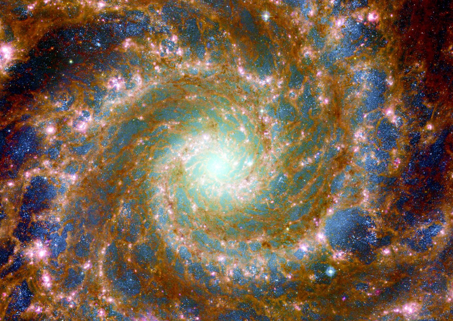 Enjoy Puzzle Phantom Galaxy Across the Spectrum 1000 Teile Puzzle Enjoy-Puzzle-1949 Enjoy Puzzle Phantom Galaxy Across the Spectrum 1000 Teile Puzzle Enjoy-Puzzle-1949 von Enjoy Puzzle