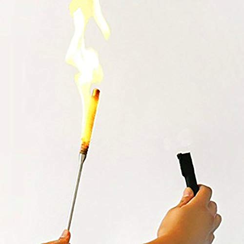 Enjoyer Flaming Torch to Appearing Cane Magic Tricks Magier Fire Zauberstab Bühne Illusion Gimmick Requisiten Comedy (Silber) von Enjoyer