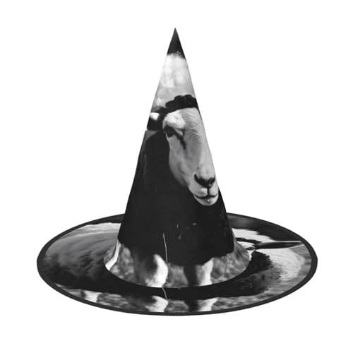 EnkzpoHen Niedlicher Schaf-Lamm-Druck, Halloween-Zaubererhut, bequem, leicht, Festivals, Party, Kopfbedeckung EnkzpoHen Niedlicher Schaf-Lamm-Druck, Halloween-Zaubererhut, bequem, leicht, Festivals, Party, Kopfbedeckung von EnkzpoHen