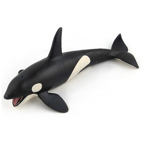 Ercoiong Killerwal Spielzeug 8x4x3 Zoll Wal Figur künstliches realistisches Spielzeug mit Mund offenes Plastik -Meerestierspielzeug für Dekoration, Bildung und mehr Killer Ercoiong Killerwal Spielzeug 8x4x3 Zoll Wal Figur künstliches realistisches Spielzeug mit Mund offenes Plastik -Meerestierspielzeug für Dekoration, Bildung und mehr Killer von Ercoiong
