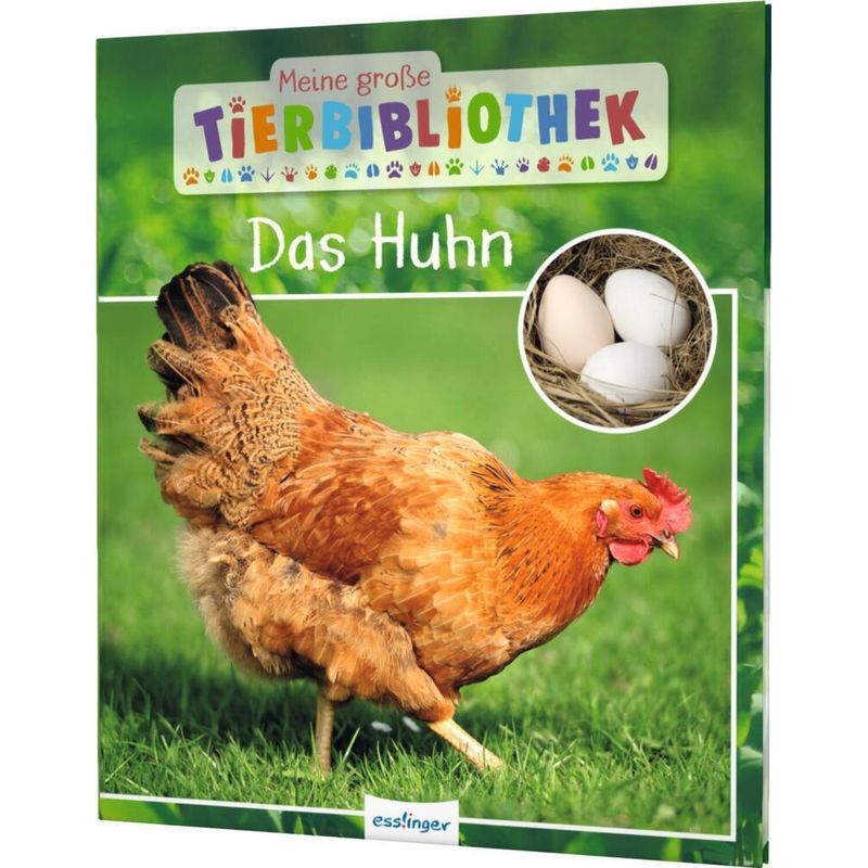 Das Huhn / Meine große Tierbibliothek Bd.9 von Esslinger in der Thienemann-Esslinger Verlag GmbH