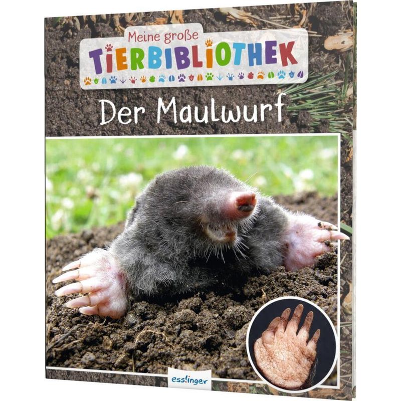 Der Maulwurf / Meine große Tierbibliothek Bd.21 von Esslinger in der Thienemann-Esslinger Verlag GmbH