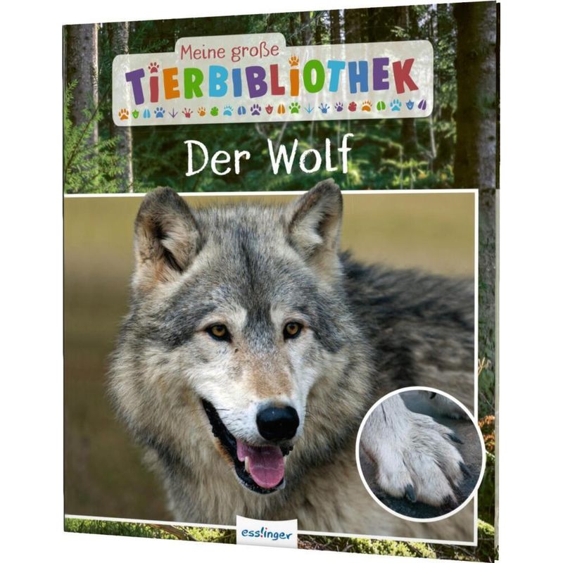 Der Wolf / Meine große Tierbibliothek Bd.12 von Esslinger in der Thienemann-Esslinger Verlag GmbH