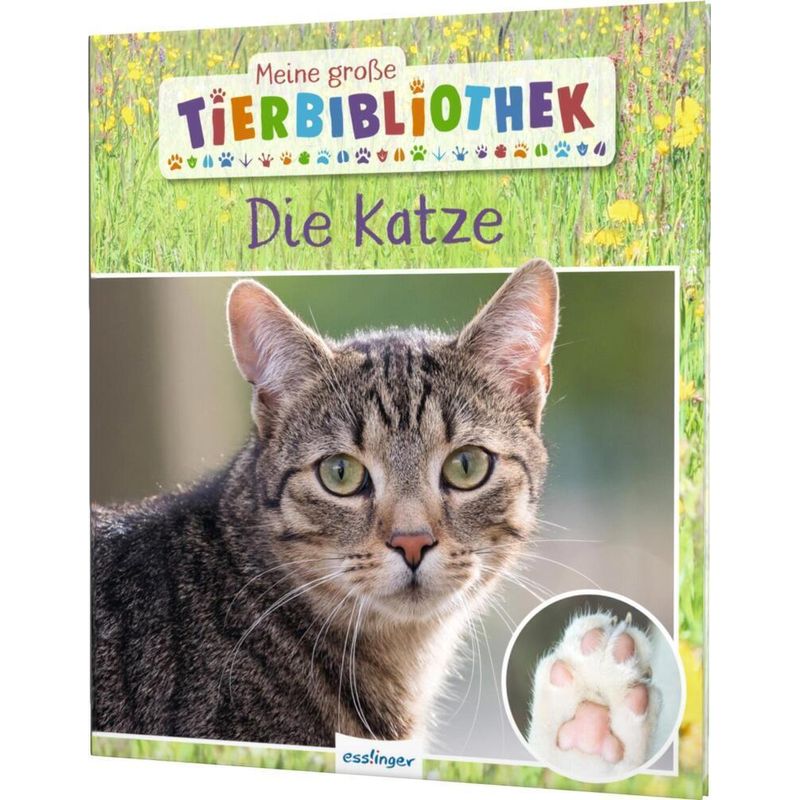 Die Katze / Meine große Tierbibliothek Bd.19 von Esslinger in der Thienemann-Esslinger Verlag GmbH