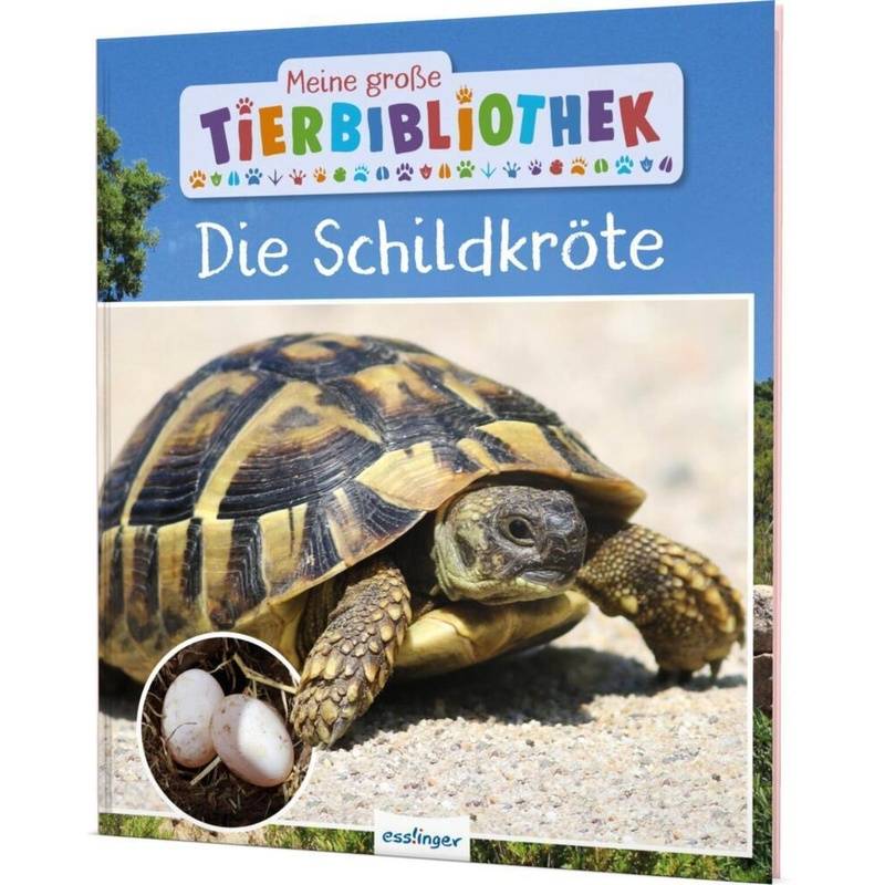 Die Schildkröte / Meine große Tierbibliothek Bd.25 von Esslinger in der Thienemann-Esslinger Verlag GmbH