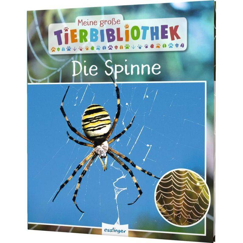 Die Spinne / Meine große Tierbibliothek Bd.24 von Esslinger in der Thienemann-Esslinger Verlag GmbH