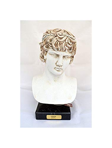 Estia Creations Antinous Antinoos Statue Büste Weiß Der Favourite des Kaisers Hadrian von Estia Creations