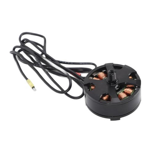 Estink 700kV -Scheibe Bürstenloser Motor mit Hitzebeständigem Kupferdraht für Multi -Rotor Aeromodelling, Langlebiger Motor für RC Hobbyisten (CCW) von Estink