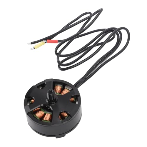 Estink 700kV -Scheibe Bürstenloser Motor mit Hitzebeständigem Kupferdraht für Multi -Rotor Aeromodelling, Langlebiger Motor für RC Hobbyisten (CW) von Estink