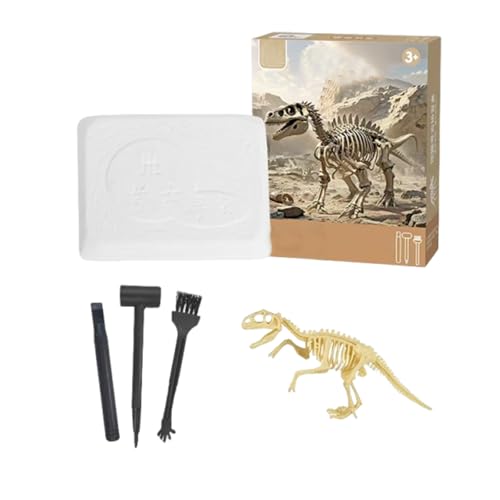 Eterspr Dinosaurier Dig Kit 3D, Dino Knochen Ausgrabung Spielzeug, Dinosaurier Skelett Ausgrabungsset Für Kinder, Dino Geschenk Mitgebsel Kindergeburtstag Junge von Eterspr