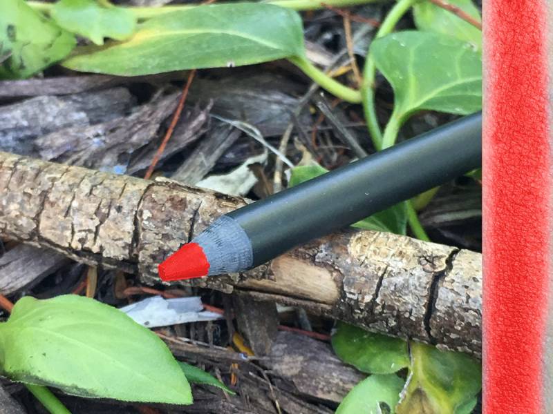 Fire Flower - Natürlicher Lipliner Oder Eyeliner Vegan Freundlich Fire Flower - Natürlicher Lipliner Oder Eyeliner Vegan Freundlich von Etsy - AddictiveCosmetics