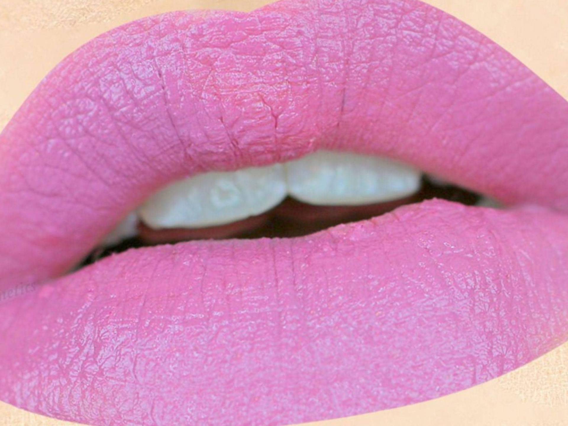 Sugarplum Ganz Natürlicher Lippenstift Und Liner - Ungiftiges Make-Up, Vegan Ohne Grausamkeit von Etsy - AddictiveCosmetics