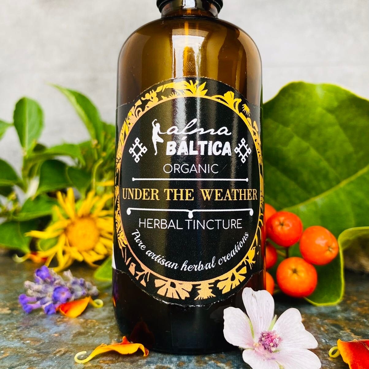 Unter Dem Wetter, Kräutertinktur, Flüssigextrakt Mit Echinacea, Alant, Weißdorn-Tinktur, Kräuterextrakt, Natürlich Unter Dem Wetter, Kräutertinktur, Flüssigextrakt Mit Echinacea, Alant, Weißdorn-Tinktur, Kräuterextrakt, Natürlich von Etsy - AlmaBalticaOrganics