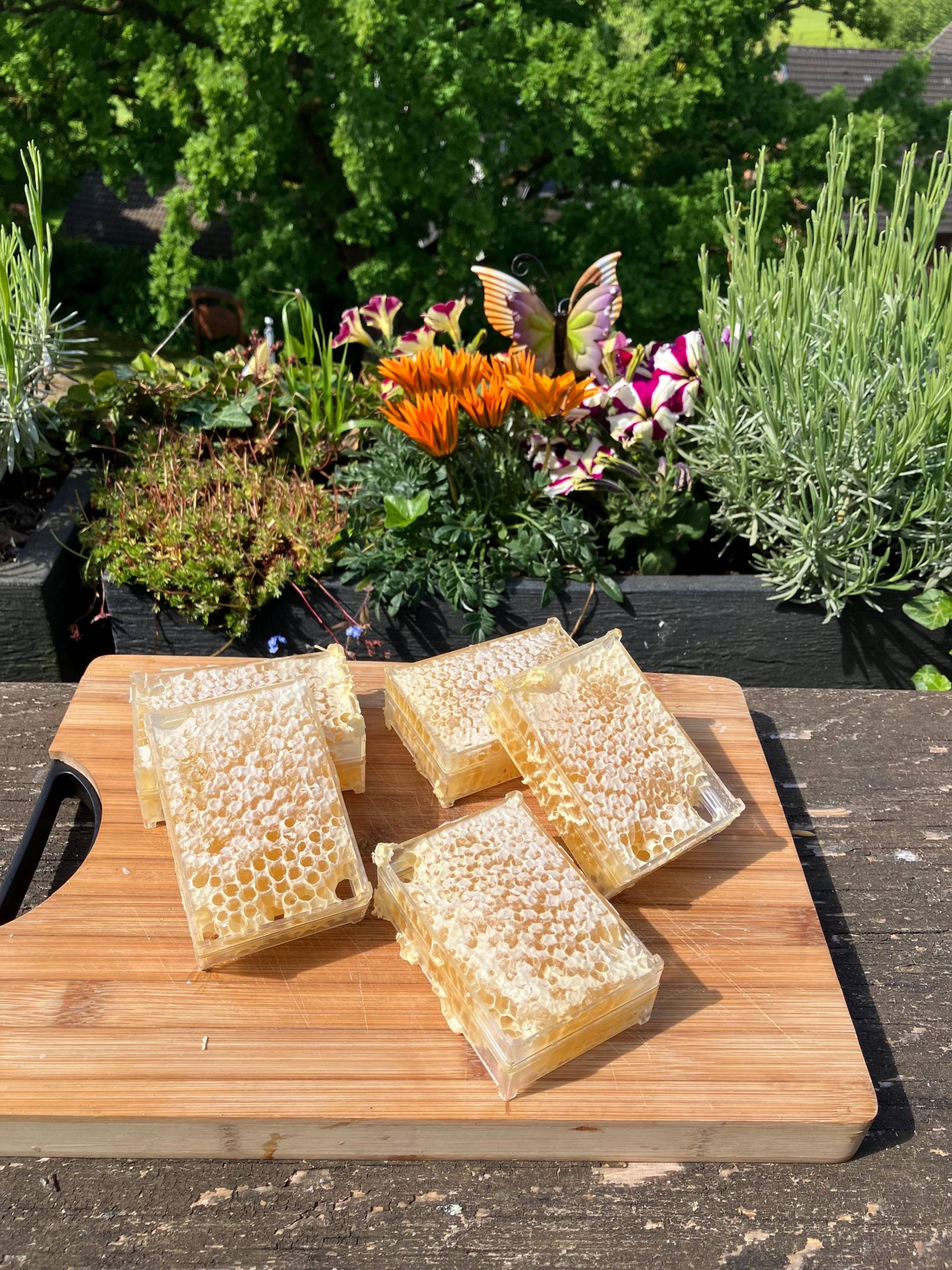 Frühtracht - Wabenhonig von Etsy - AnnettesImkerei