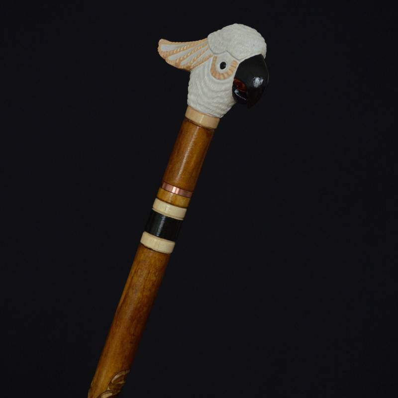 Geschenk Spazierstock Spazierstöcke Stöcke Schilfrohrstab Holz Handgeschnitzt Schnitzerei Handgefertigt Zubehör | Kakadu Papagei Weiß-Orange von Etsy - Artcrafft