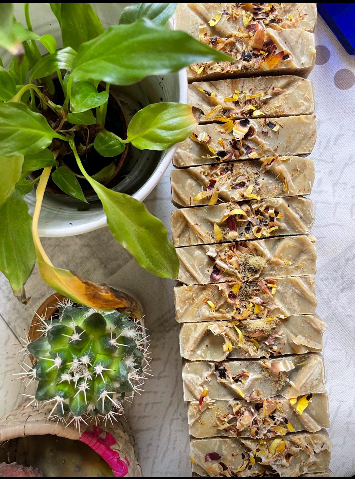 Kaktusfeigen-Peeling Naturseife Kaktusfeigen-Peeling Naturseife von Etsy - AsilahNature