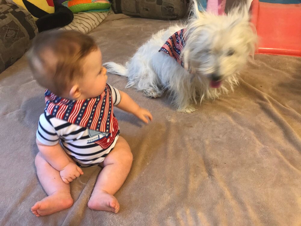 Sterne Und Streifen 4. Juli Print-Baby Pelz-Baby Passende Bandanas von Etsy - BFBbibs