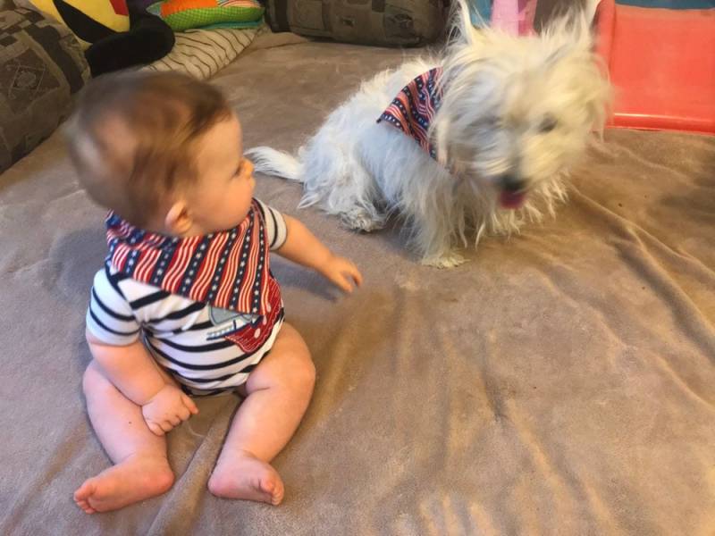 Sterne Und Streifen 4. Juli Print-Baby Pelz-Baby Passende Bandanas von Etsy - BFBbibs