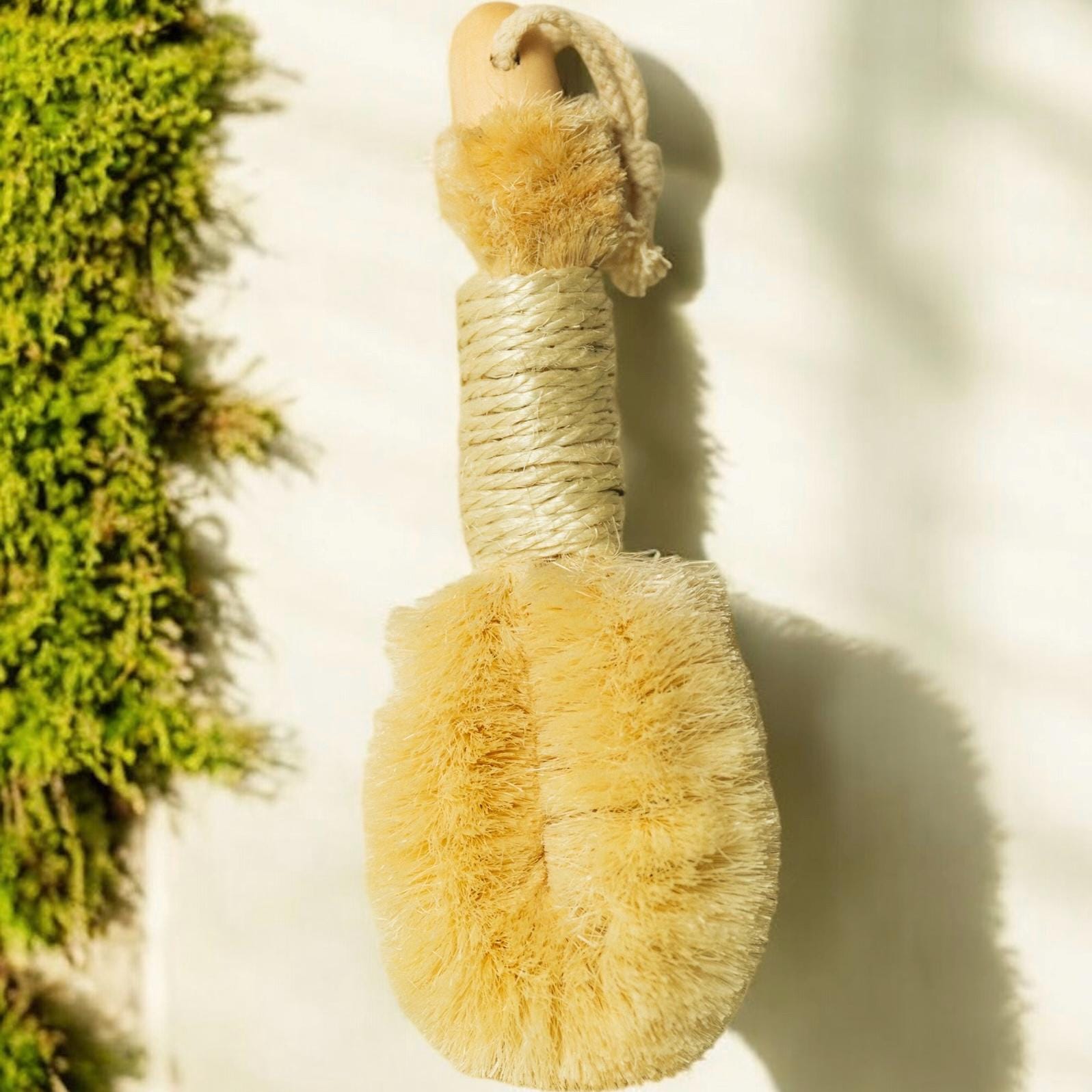 Vegane Sisal Trockenbürste | Peeling Selbstfürsorge Erde Freundlich Naturborsten Pflanzlich Körperpflege Vegane Sisal Trockenbürste | Peeling Selbstfürsorge Erde Freundlich Naturborsten Pflanzlich Körperpflege von Etsy - BambooSwitchShop