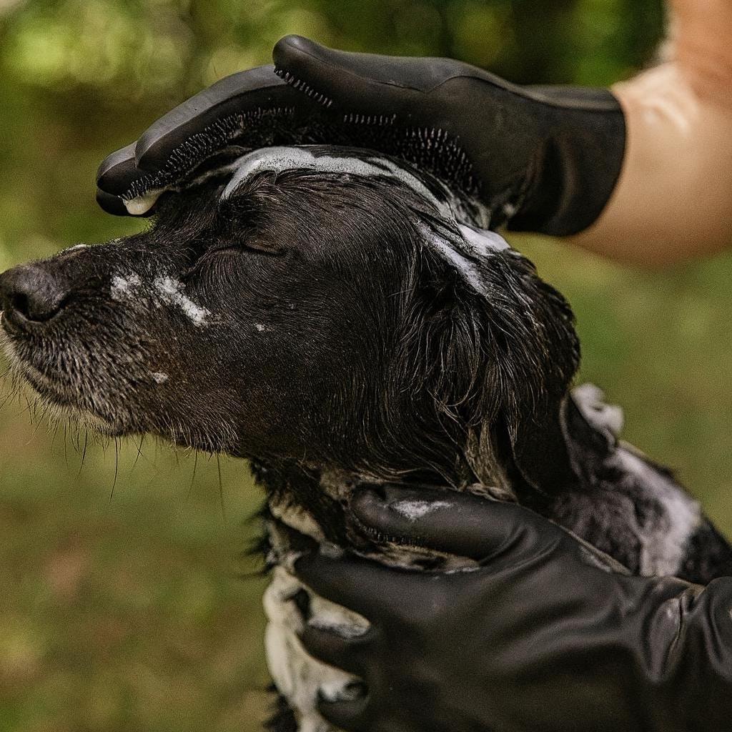 Fellpflege Handschuhe Mit Borsten Für Hunde + Katzen, Shampoo & Massage Silikonhandschuhe Haustierbedarf Hundebürste Hundeshampoo von Etsy - BeautyworldBavaria