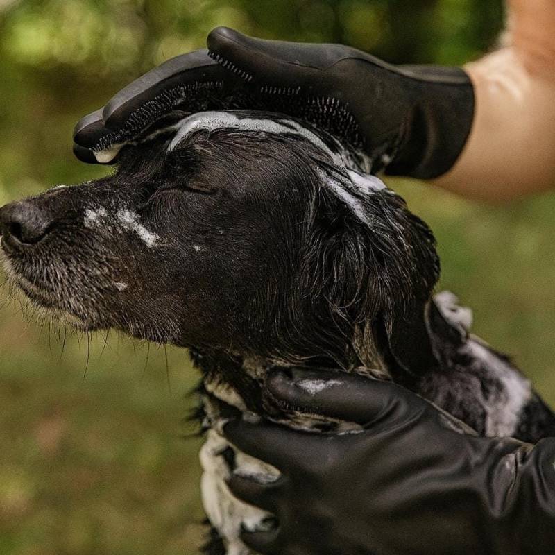 Fellpflege Handschuhe Mit Borsten Für Hunde + Katzen, Shampoo & Massage Silikonhandschuhe Haustierbedarf Hundebürste Hundeshampoo Fellpflege Handschuhe Mit Borsten Für Hunde + Katzen, Shampoo & Massage Silikonhandschuhe Haustierbedarf Hundebürste Hundeshampoo von Etsy - BeautyworldBavaria