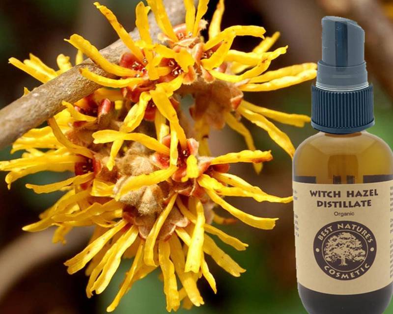 Bio Hamamelis Destillat Natürliches Gesichtswasser Bei Akne & Rasurbrand Bio Hamamelis Destillat Natürliches Gesichtswasser Bei Akne & Rasurbrand von Etsy - BestNaturesCosmetic