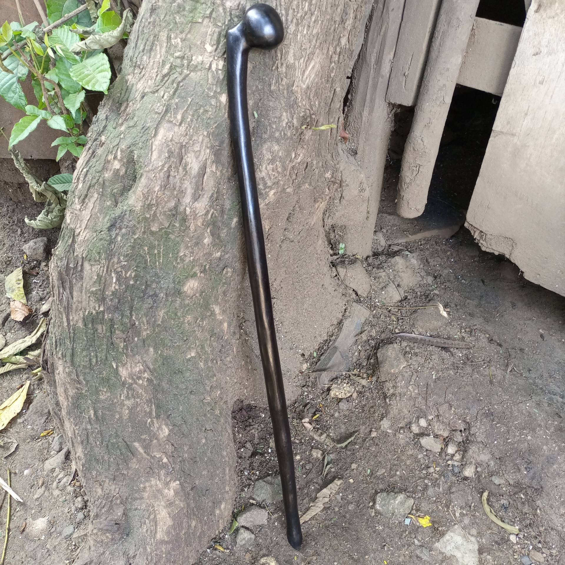 Beidhändig Offset 1, 5 Zoll Griff Original Ironwood African Walking Wanderstock Cane Kenia 1Pc Natürliche Mahagoni Palisander Unisex Pick Größe Beidhändig Offset 1, 5 Zoll Griff Original Ironwood African Walking Wanderstock Cane Kenia 1Pc Natürliche Mahagoni Palisander Unisex Pick Größe von Etsy - Bestgemdiamond