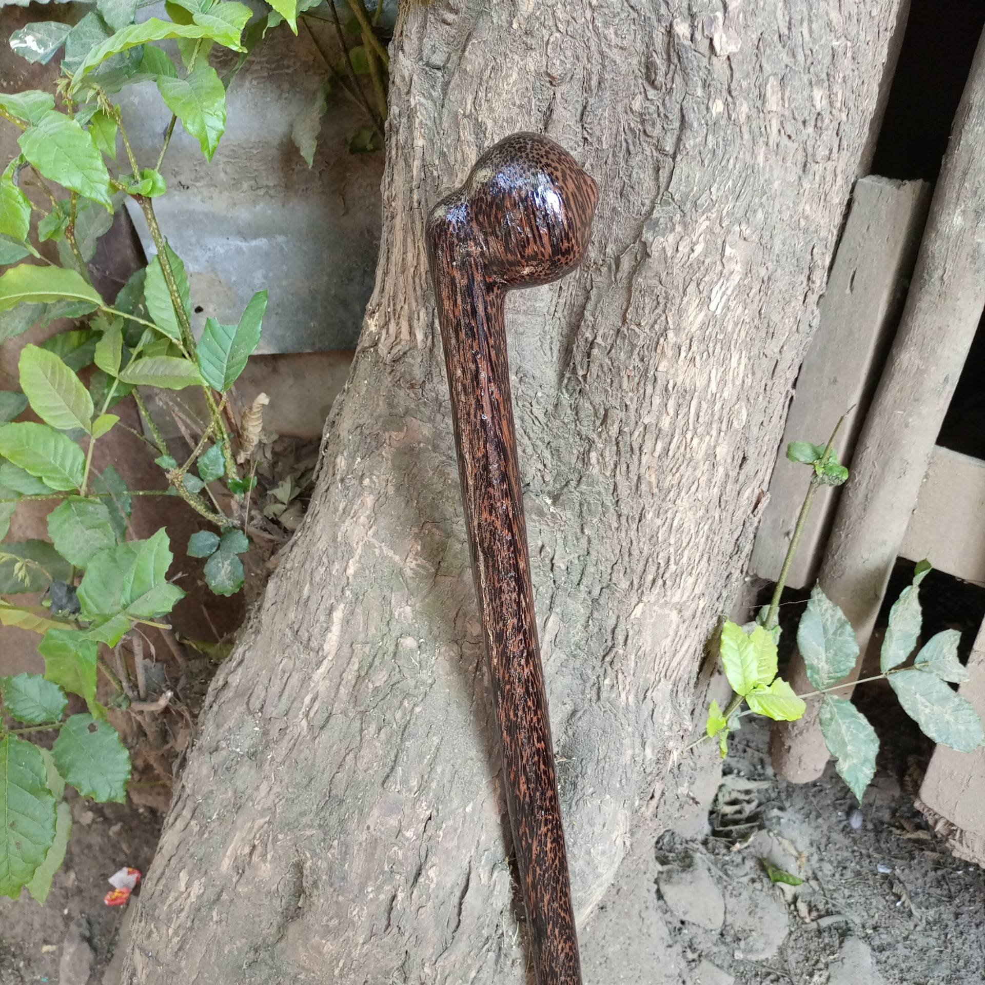 Beidhändig Offset 1, 5 Zoll Griff Original Palmwood African Walking Wanderstock Cane Kenia 1Pc Natürliche Mahagoni Hartholz Unisex Pick Größe Beidhändig Offset 1, 5 Zoll Griff Original Palmwood African Walking Wanderstock Cane Kenia 1Pc Natürliche Mahagoni Hartholz Unisex Pick Größe von Etsy - Bestgemdiamond