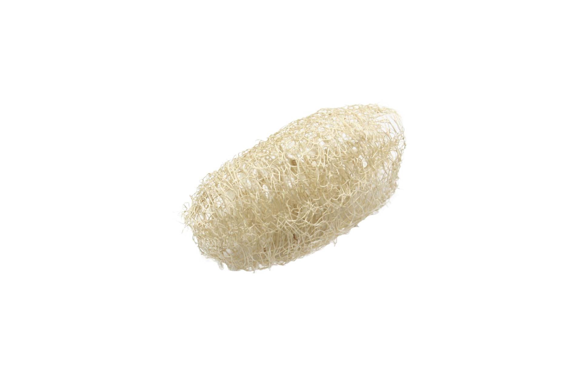 Whole Mini Luffs Luffa Natural Body Scrubber Schwamm Bad Küche - Kann Kauen Spielzeug Für Einen Kleinen Haustiere Kaninchen Hamster Nicht Gebleicht von Etsy - Bizbn