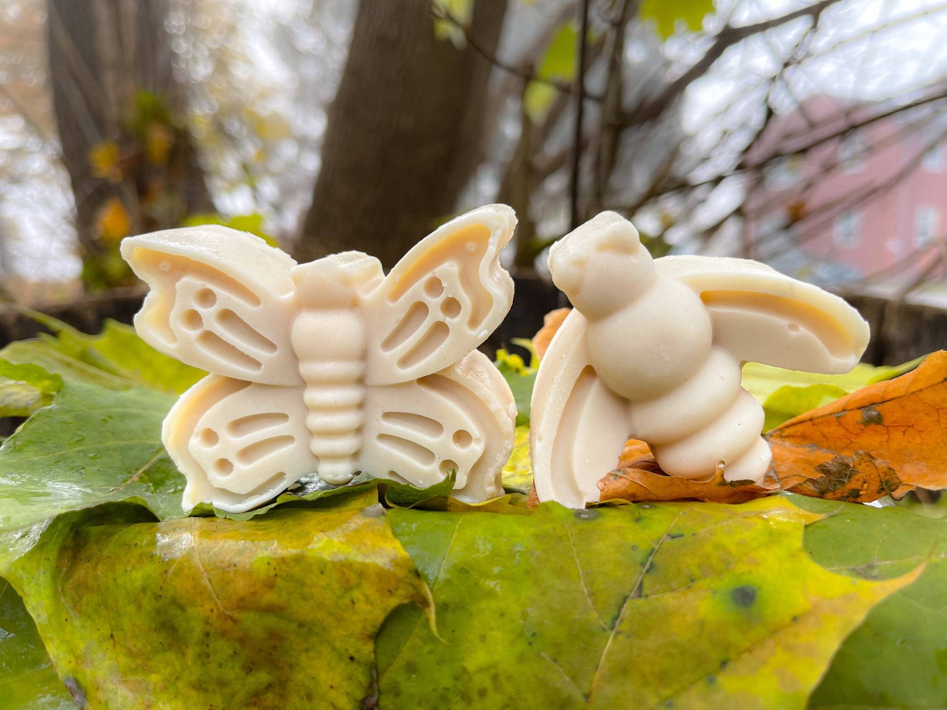 Käfer Milchseifen Käfer Milchseifen von Etsy - BrookesGoatMilkGoods