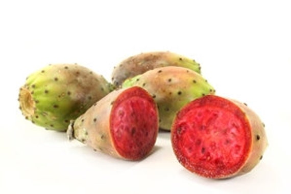 Kaktusfeige Öl Serum, Kaktus-Öl, Feigenkaktus Natürliche Gesichtsserum, Barbary Fig Öl, Kaktusfeigen Kernöl, Anti-Aging Gesichts-Serum von Etsy - ButterandBath