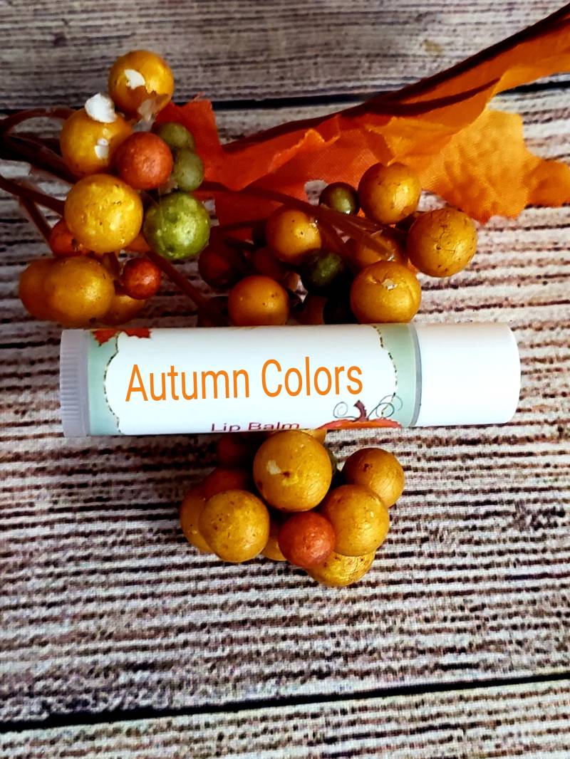 Apfel Lippenbalsam | Kürbis Butterscotch Herbst Duft Lippen Feuchtigkeitscreme Gastgeschenke von Etsy - ButterflyBlissShop