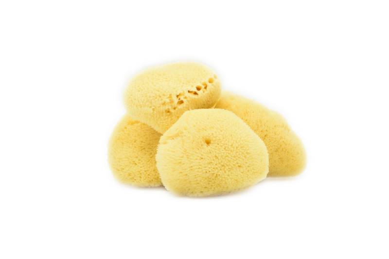 Natürlicher Meeresschwamm | Premium Seide 5-7 cm Natürlicher Meeresschwamm | Premium Seide 5-7 cm von Etsy - CannaBeez