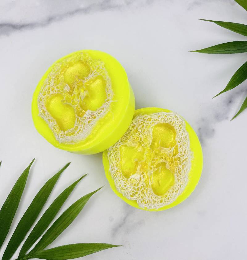 Luffa Seife | Kokosmilch Spa Geschenk Strand-Haus-Dekor von Etsy - CarolinaOrganicsSC