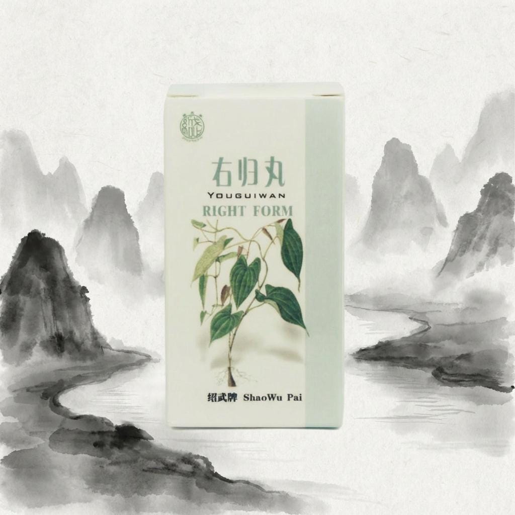 You Gui Wan - Right Form Tcm Kräuterrezeptur Shao Wu Pai 右归丸 -Männerpillen Teepillen von Etsy - ChangTrader