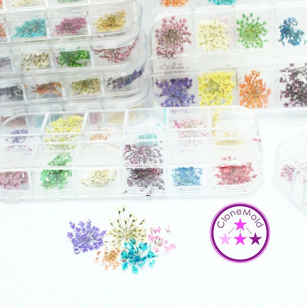 Mini Trockenblumen Mini Trockenblumen von Etsy - CloneMold
